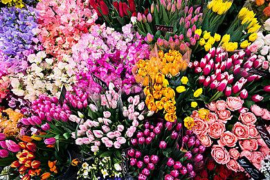 《女神异闻录3》监督表示该作让Atlus免于崩溃命运