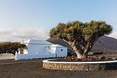 《DOTA2》TI13直邀战队公布 仅6支队伍获邀